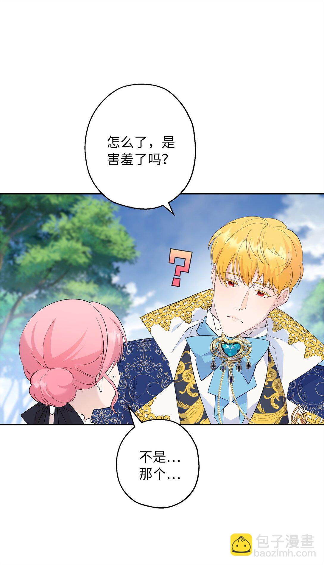 《伯爵之女驯服皇帝心腹的方法》47 皇子的礼物 第29页