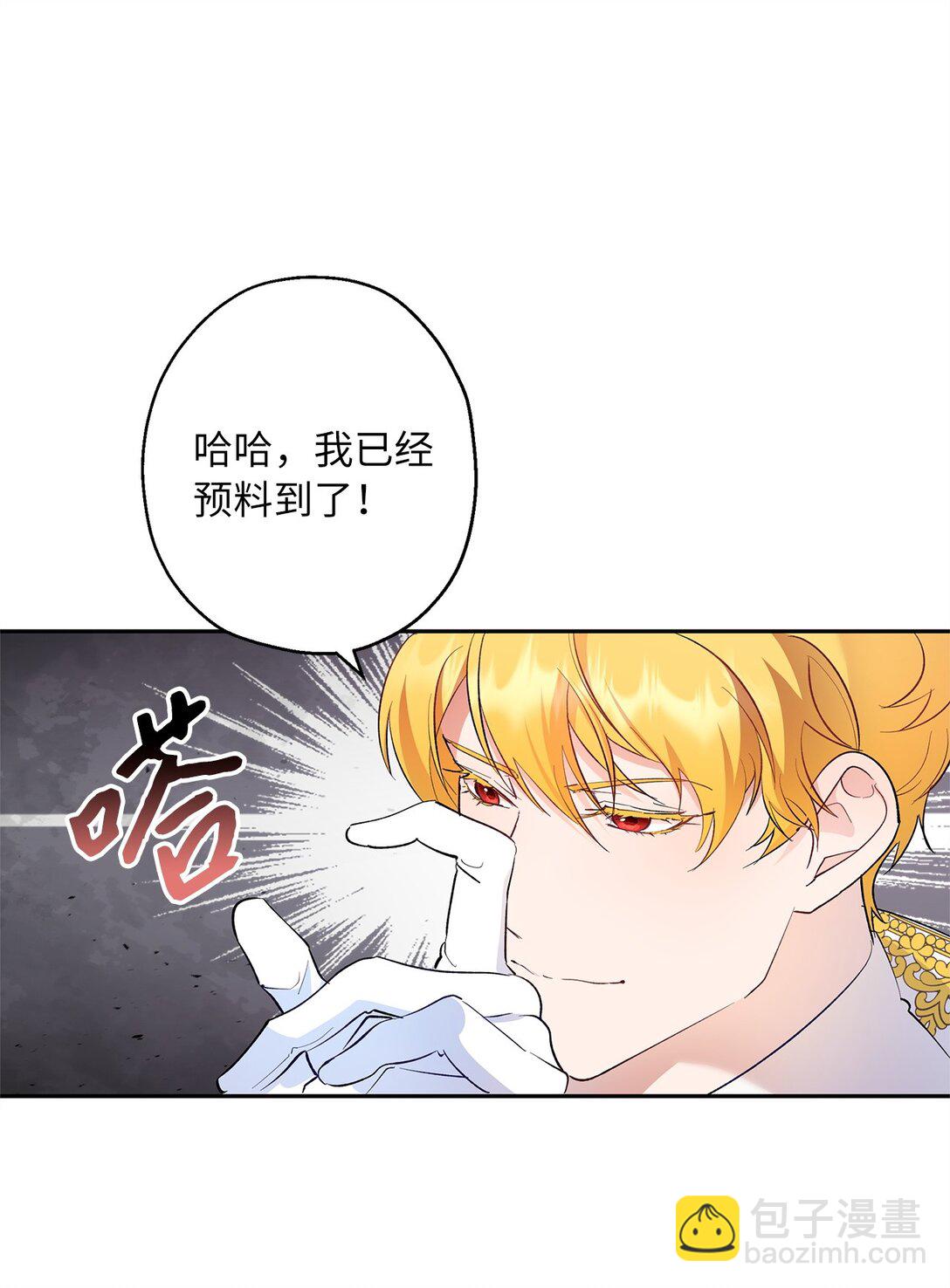 《伯爵之女驯服皇帝心腹的方法》47 皇子的礼物 第41页