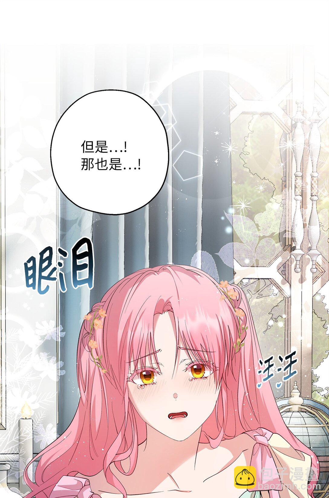 《伯爵之女驯服皇帝心腹的方法》44 母亲的遗物 第45页