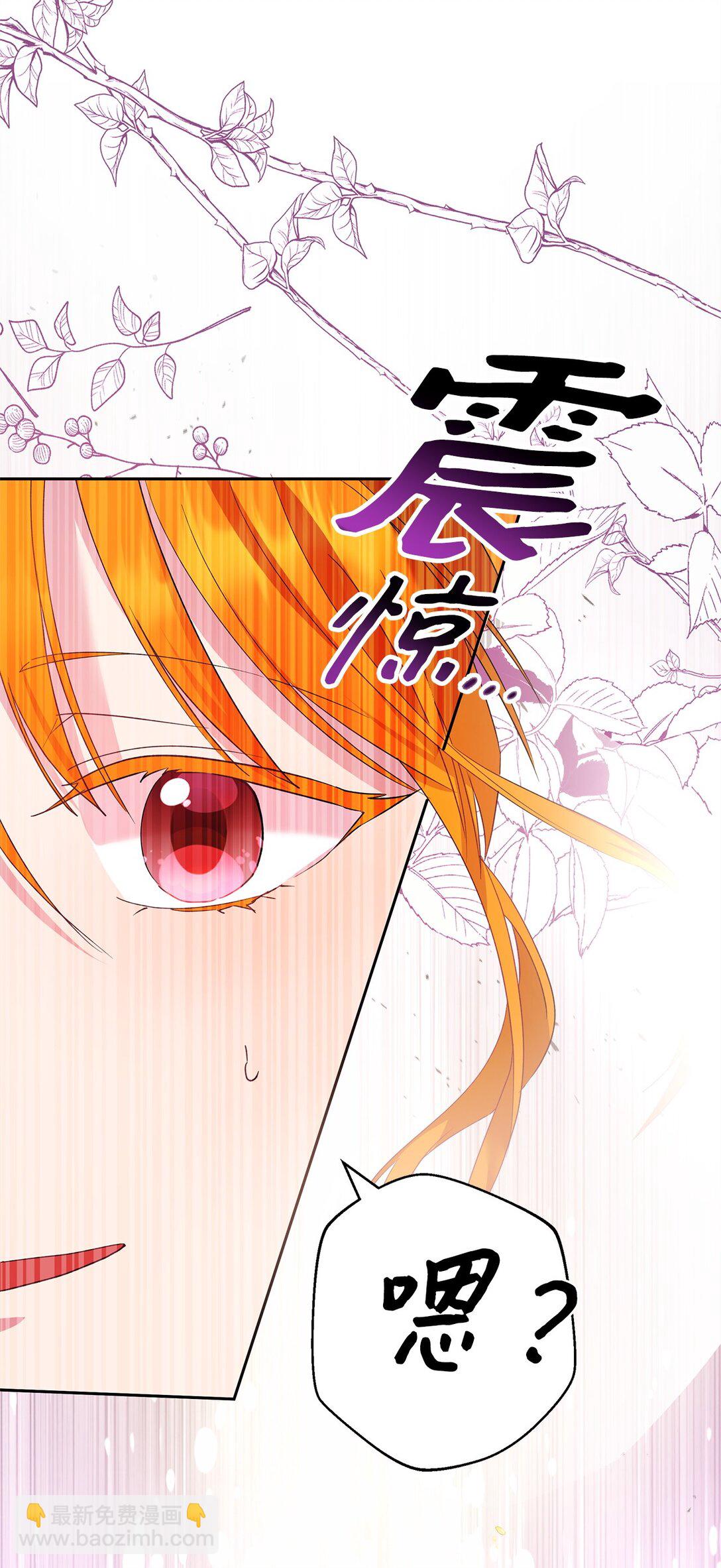 《伯爵之女驯服皇帝心腹的方法》46 对练的福利 第17页