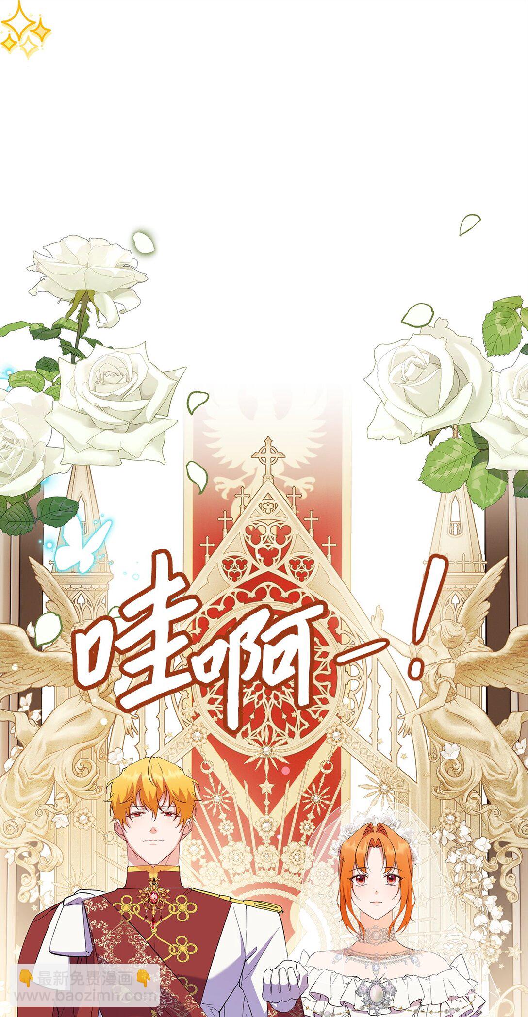 《伯爵之女驯服皇帝心腹的方法》65 幸福婚礼 第33页