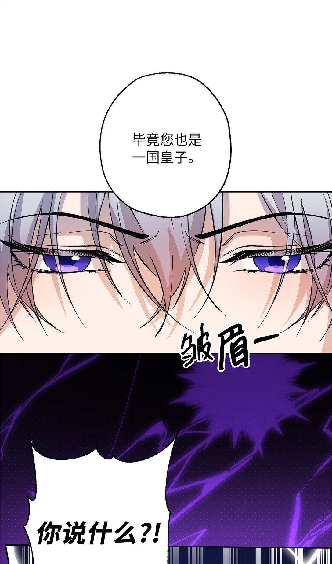 《伯爵之女驯服皇帝心腹的方法》67 针锋相对 第43页