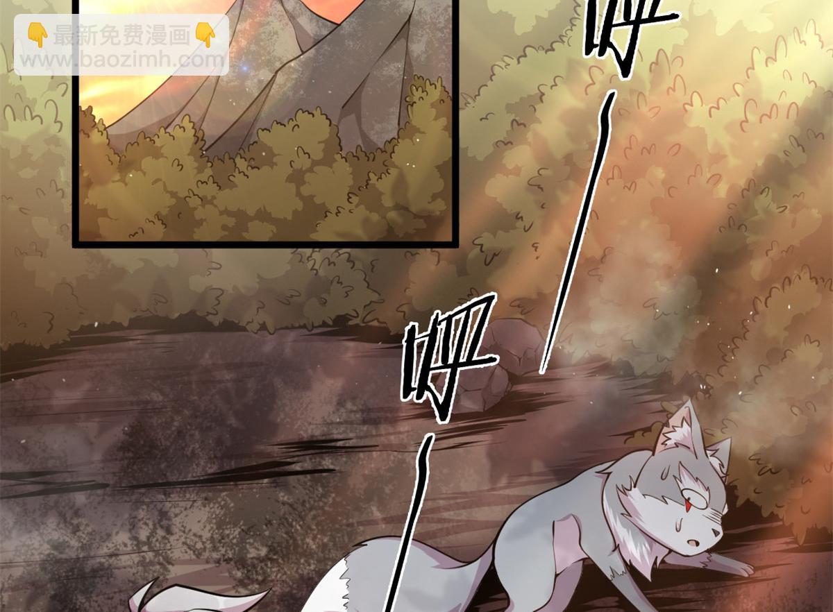 《宠魅1》05 第一战，荆棘妖 第14页