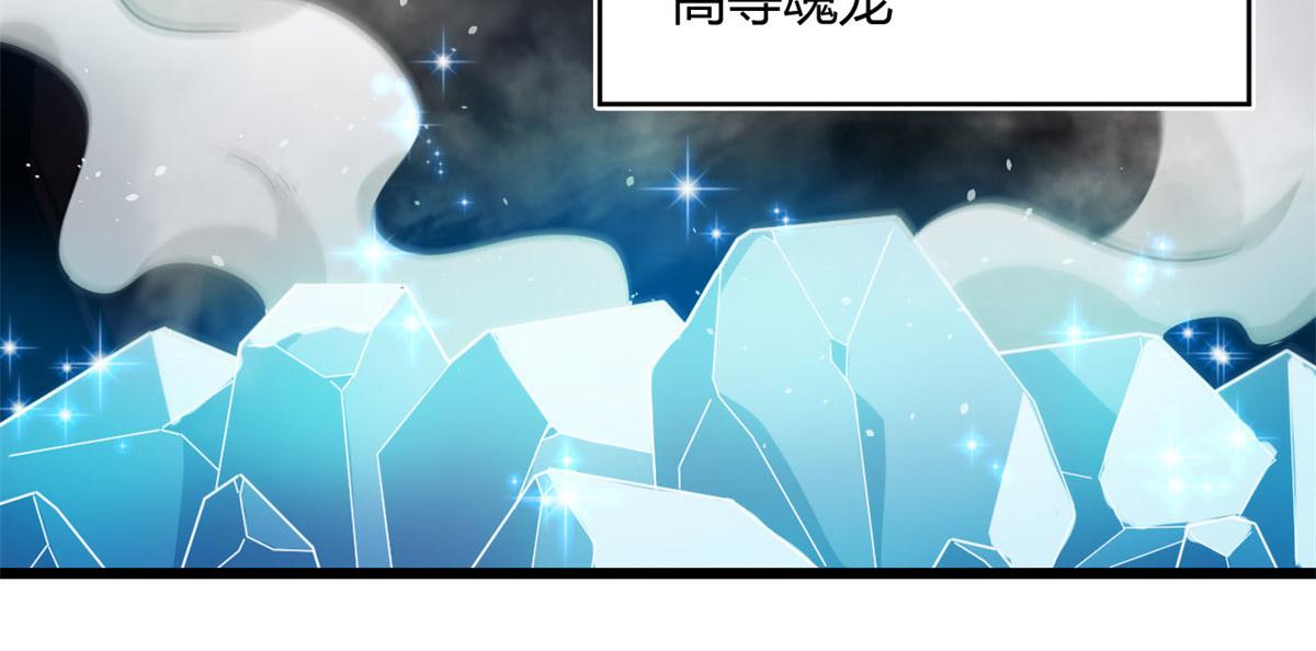 《宠魅1》30 冰空精灵 第24页