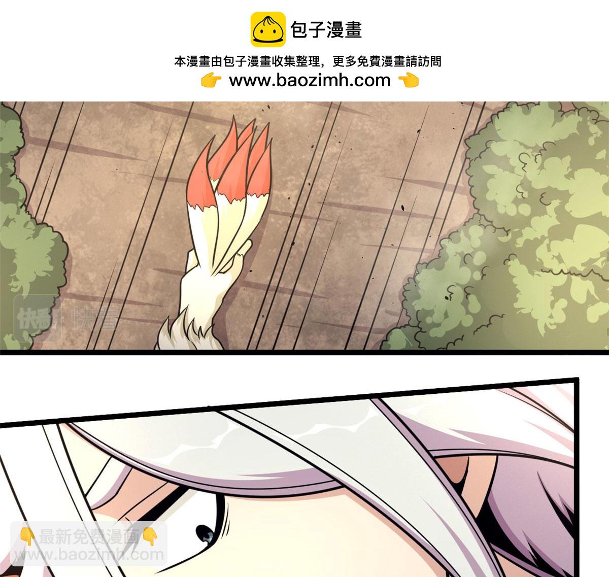 《宠魅1》45 夜之雷梦兽 第45页