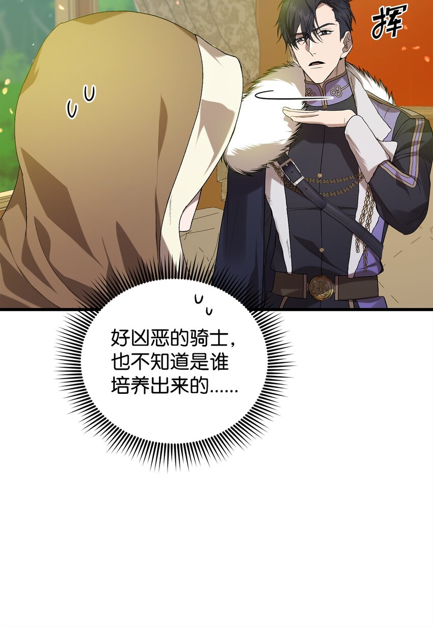 《炮灰骑士今天也想守护病弱公爵》07 面见舒马赫 第24页