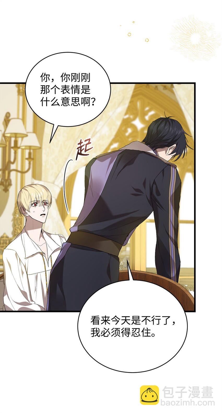 《炮灰骑士今天也想守护病弱公爵》07 面见舒马赫 第3页