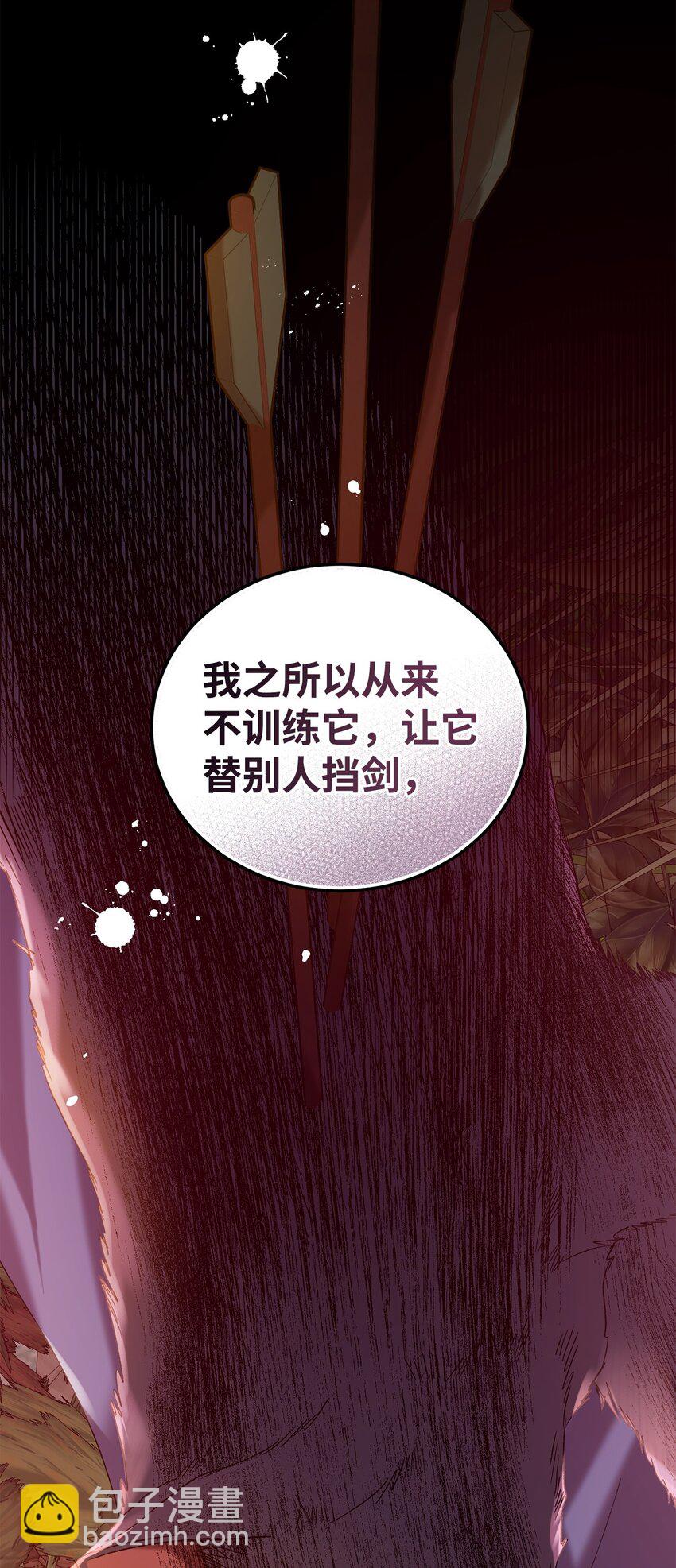 《炮灰骑士今天也想守护病弱公爵》08 突然涌入的记忆 第47页