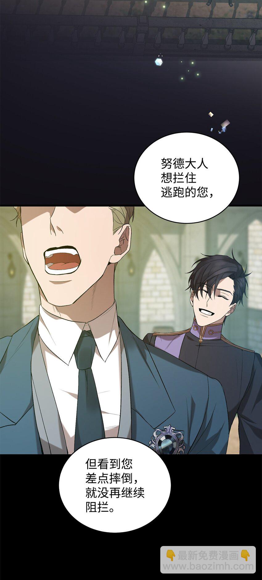 《炮灰骑士今天也想守护病弱公爵》09 借刀杀人的计划 第38页