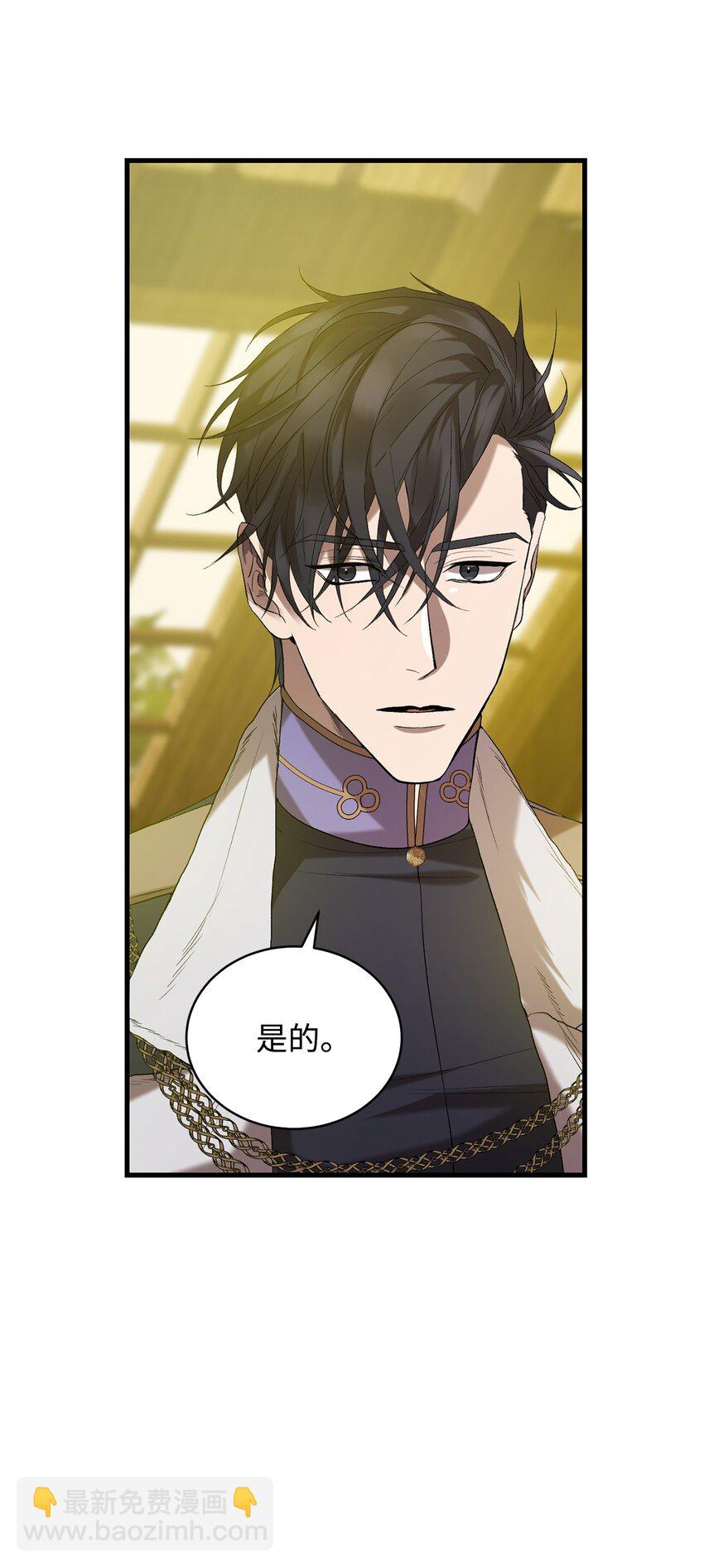 《炮灰骑士今天也想守护病弱公爵》09 借刀杀人的计划 第49页