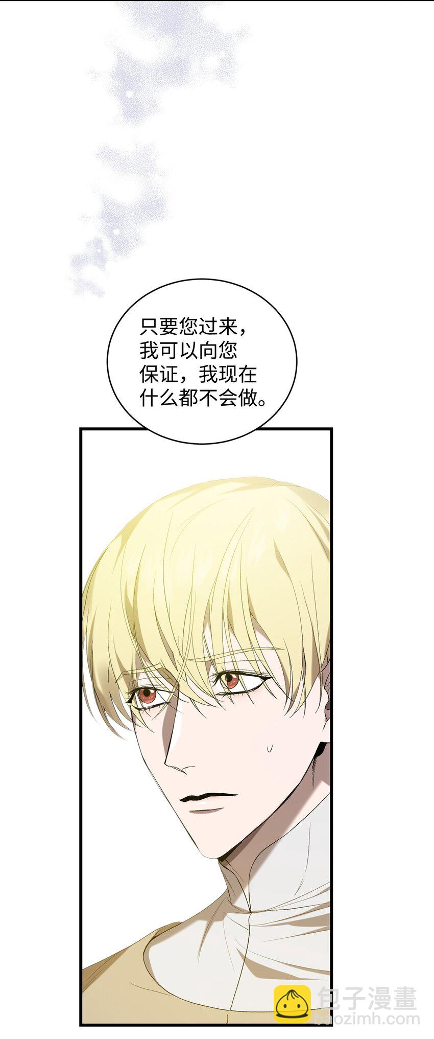 《炮灰骑士今天也想守护病弱公爵》12 人物信息 第28页
