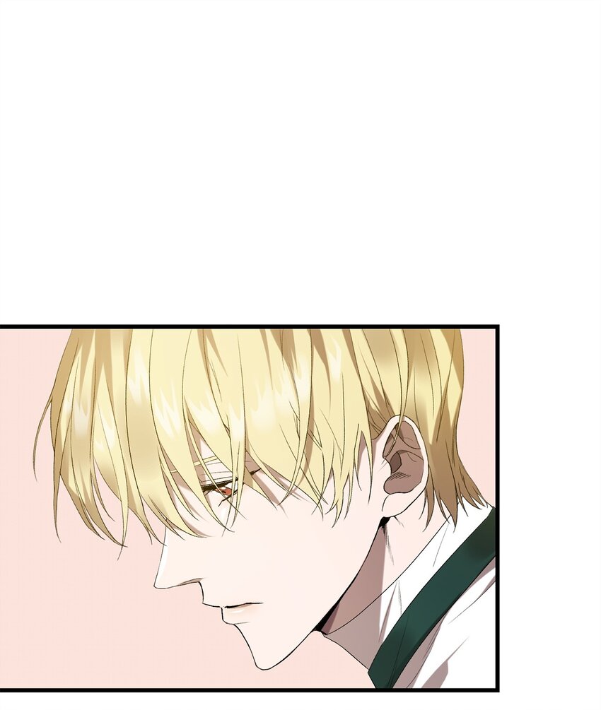 《炮灰骑士今天也想守护病弱公爵》15 意外提议 第12页