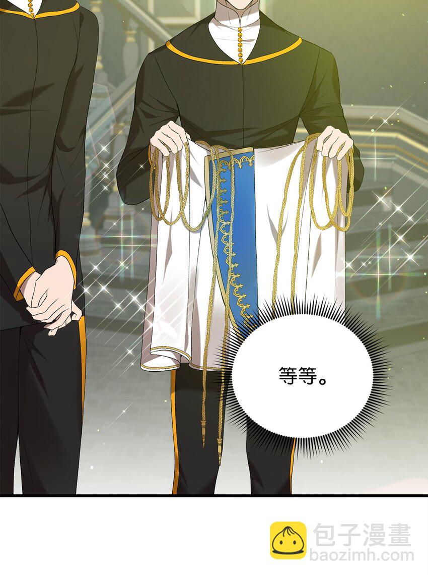 《炮灰骑士今天也想守护病弱公爵》13 四万级 第27页