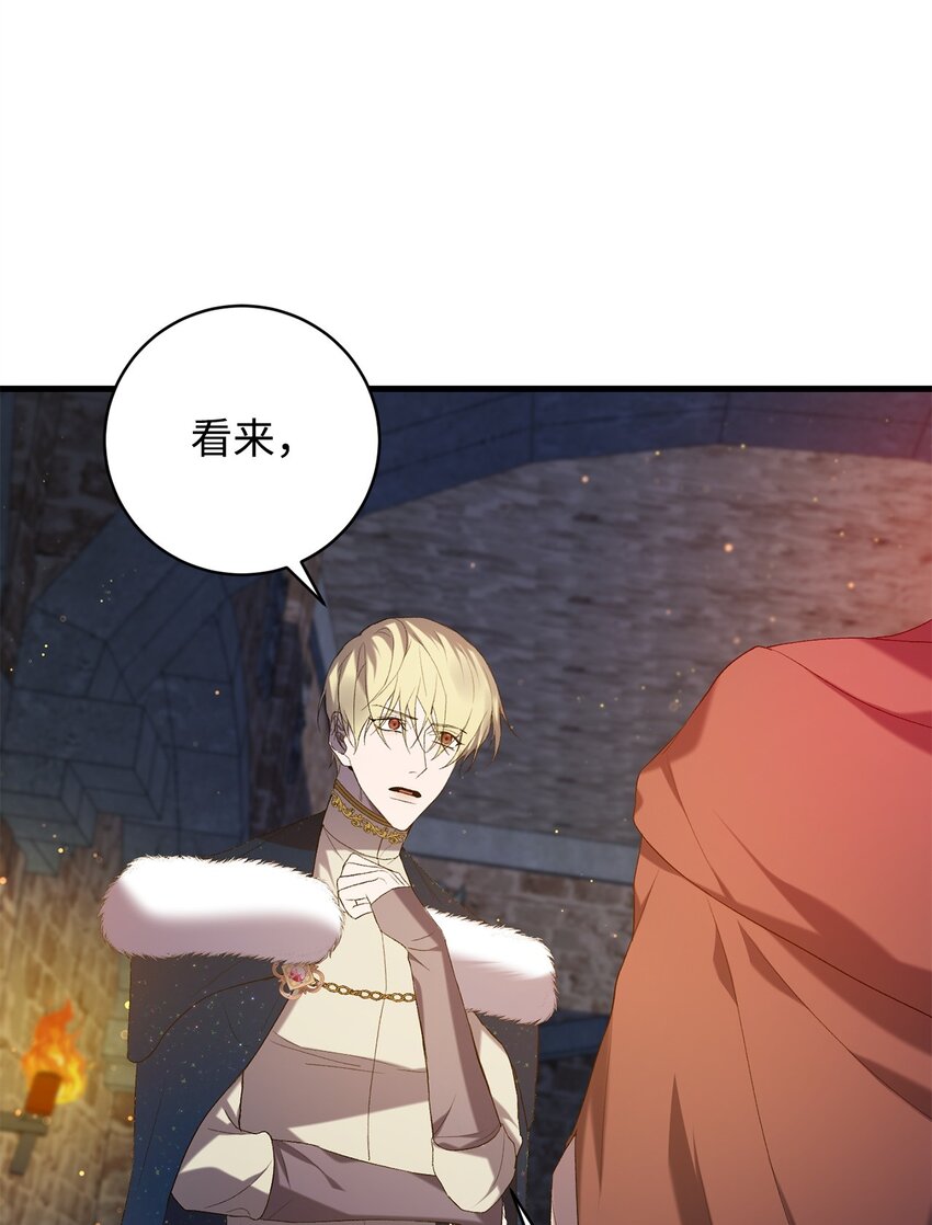 《炮灰骑士今天也想守护病弱公爵》17 接应 第31页