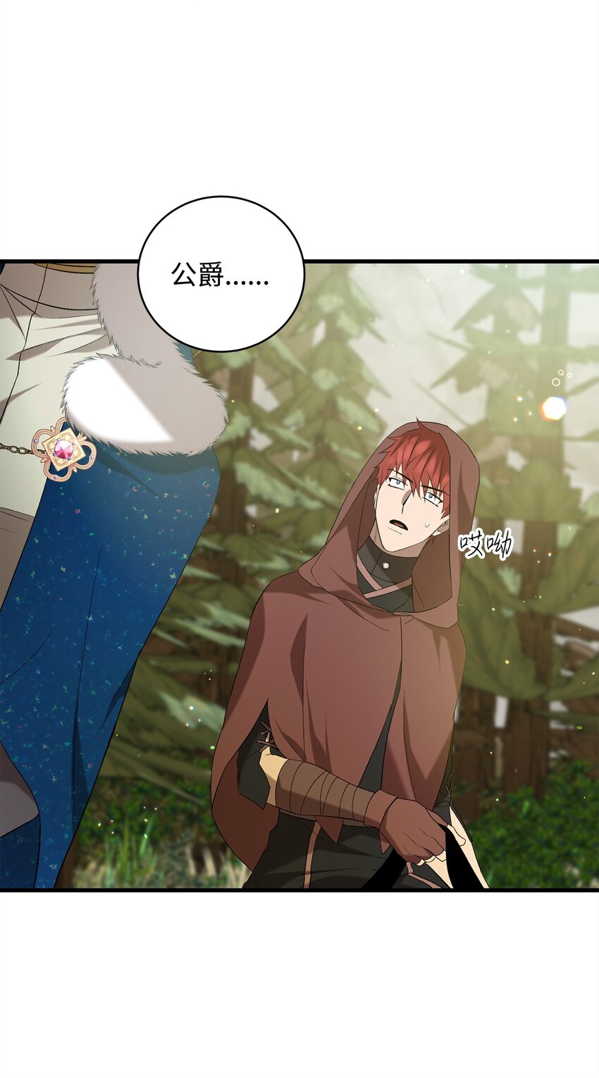 《炮灰骑士今天也想守护病弱公爵》18 新的记忆 第25页