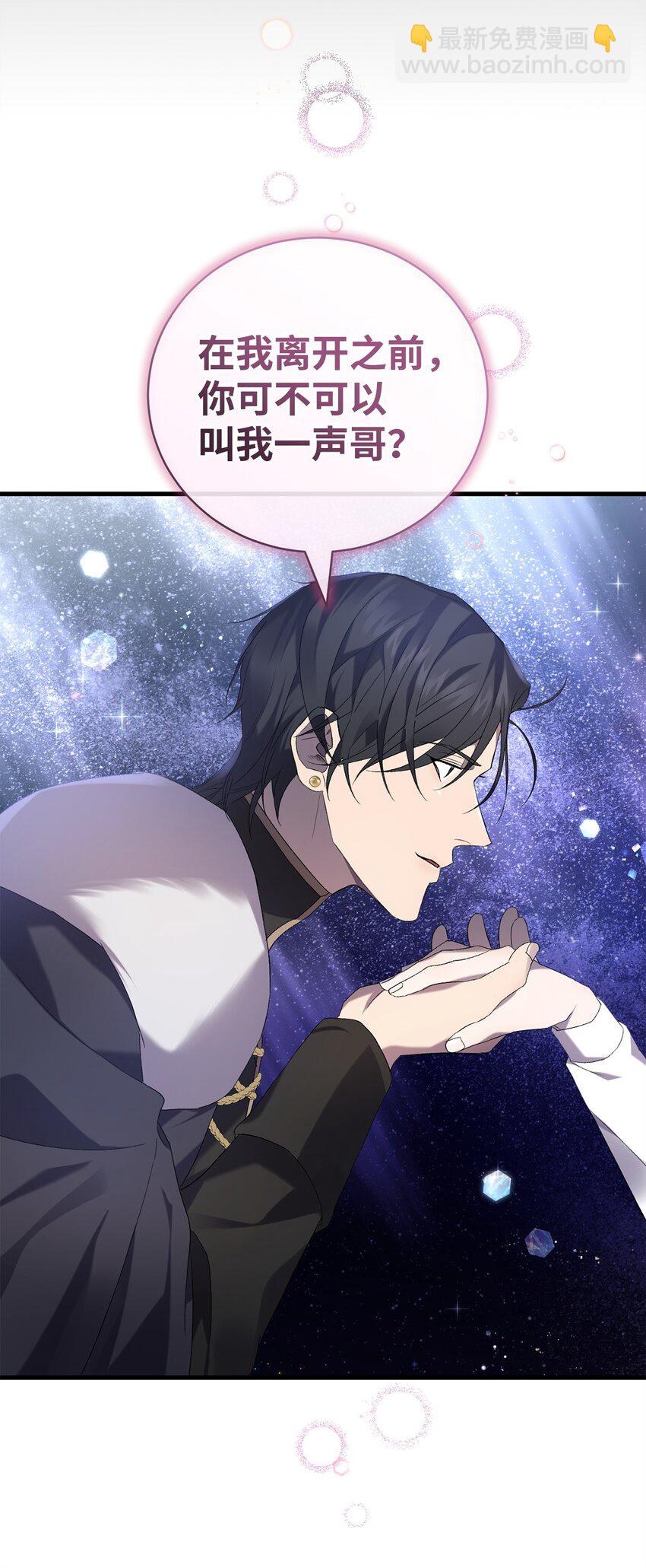 《炮灰骑士今天也想守护病弱公爵》29 灾难碎片 第24页