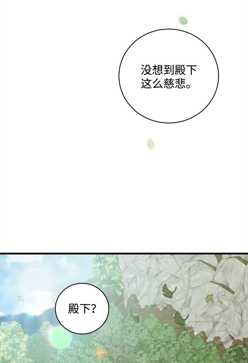 《炮灰骑士今天也想守护病弱公爵》29 灾难碎片 第41页
