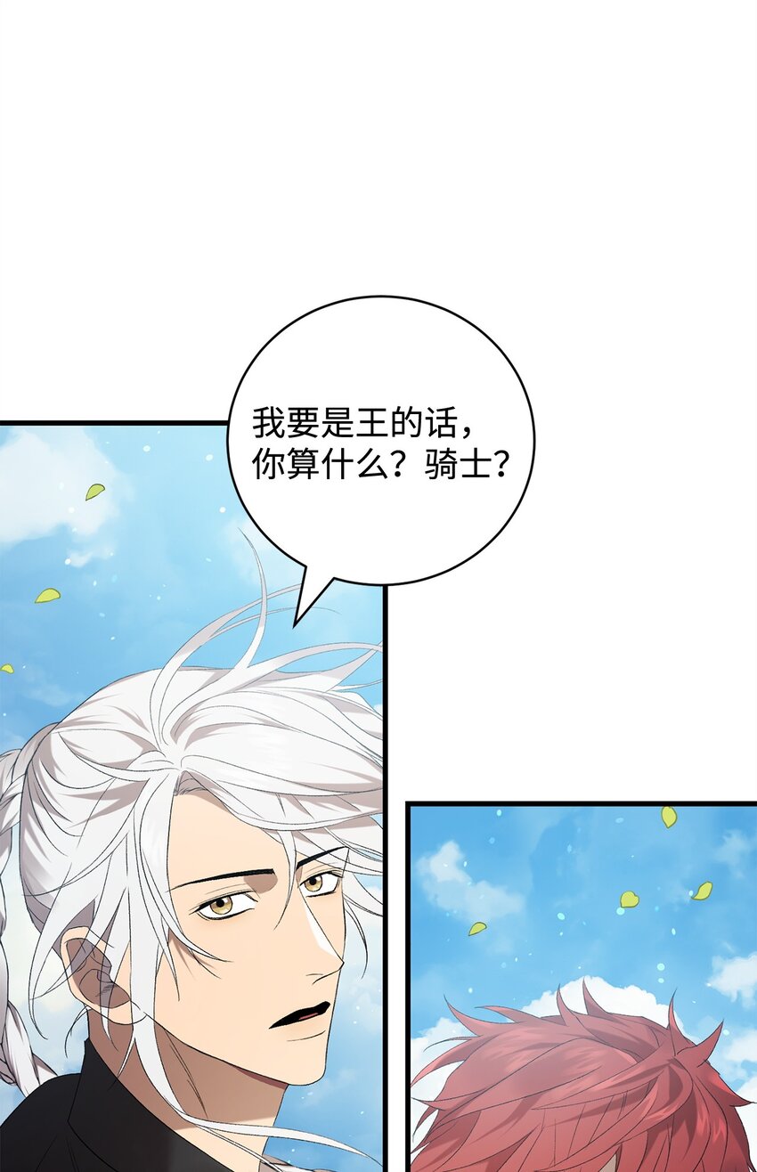 《炮灰骑士今天也想守护病弱公爵》29 灾难碎片 第43页