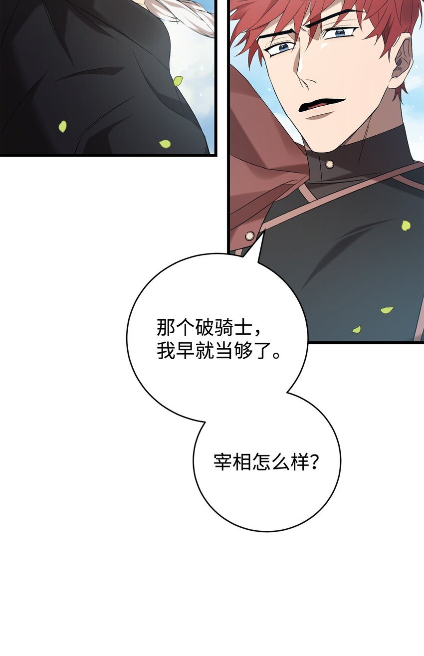 《炮灰骑士今天也想守护病弱公爵》29 灾难碎片 第44页