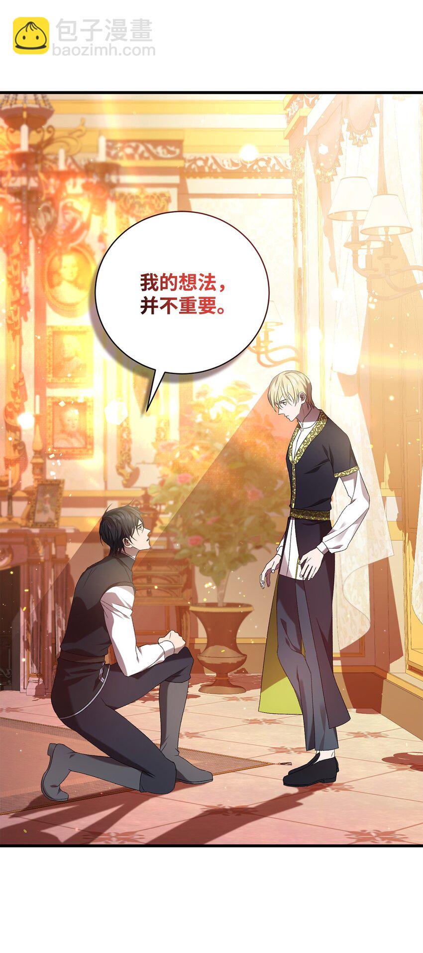 《炮灰骑士今天也想守护病弱公爵》34 第三种结局 第43页