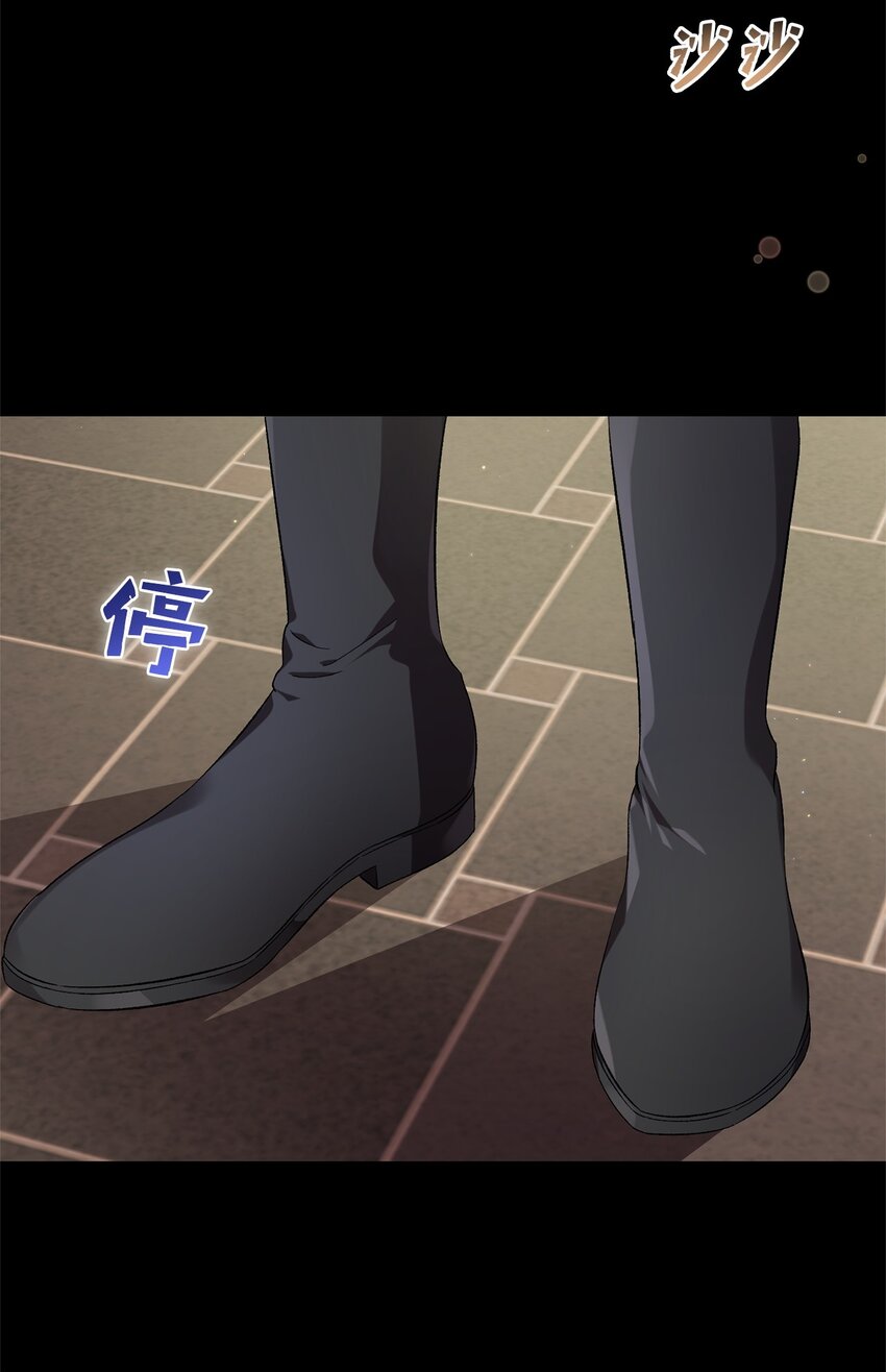 《炮灰骑士今天也想守护病弱公爵》48 地球之神 第27页