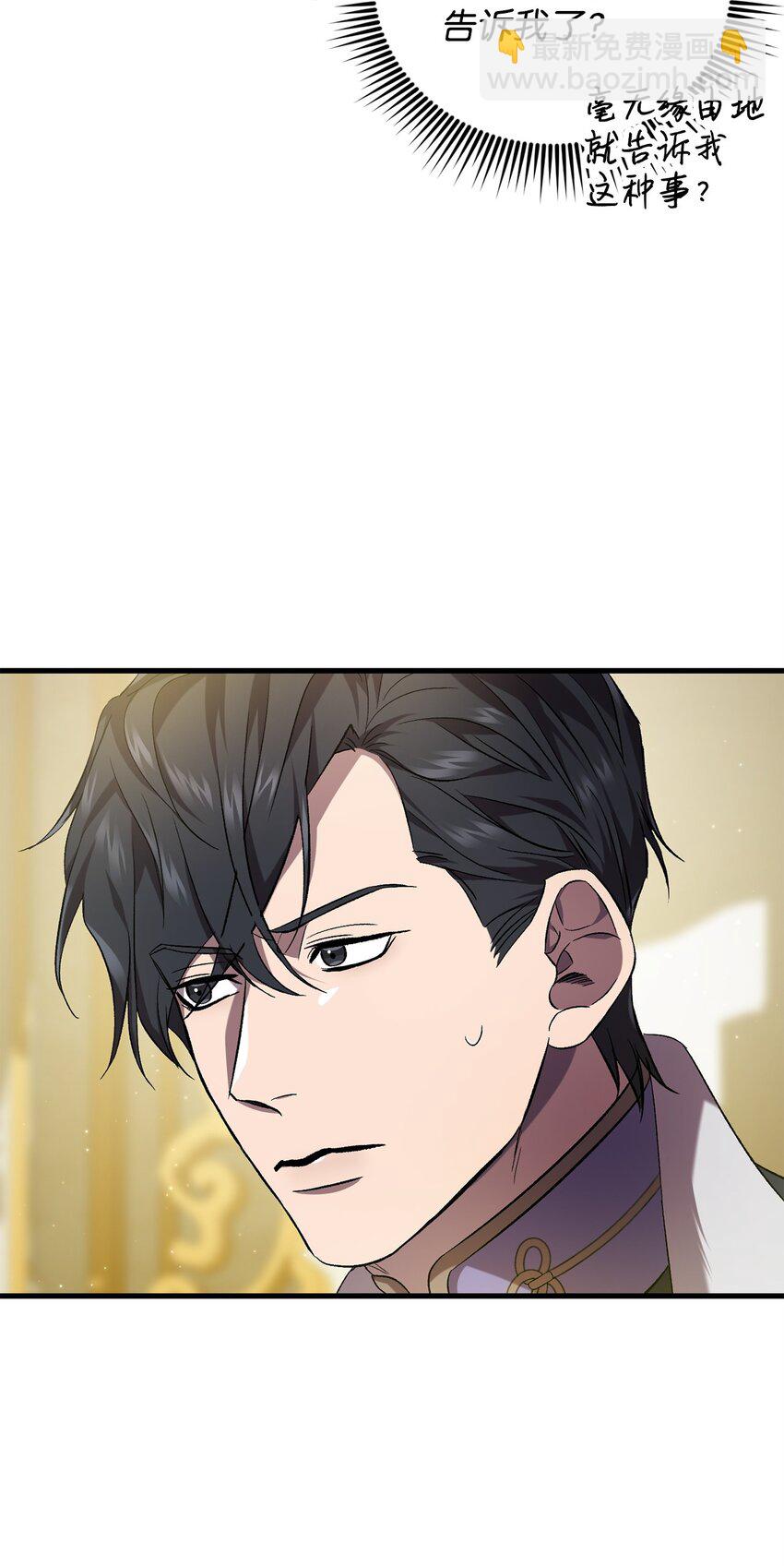 《炮灰骑士今天也想守护病弱公爵》66 关于初见 第33页