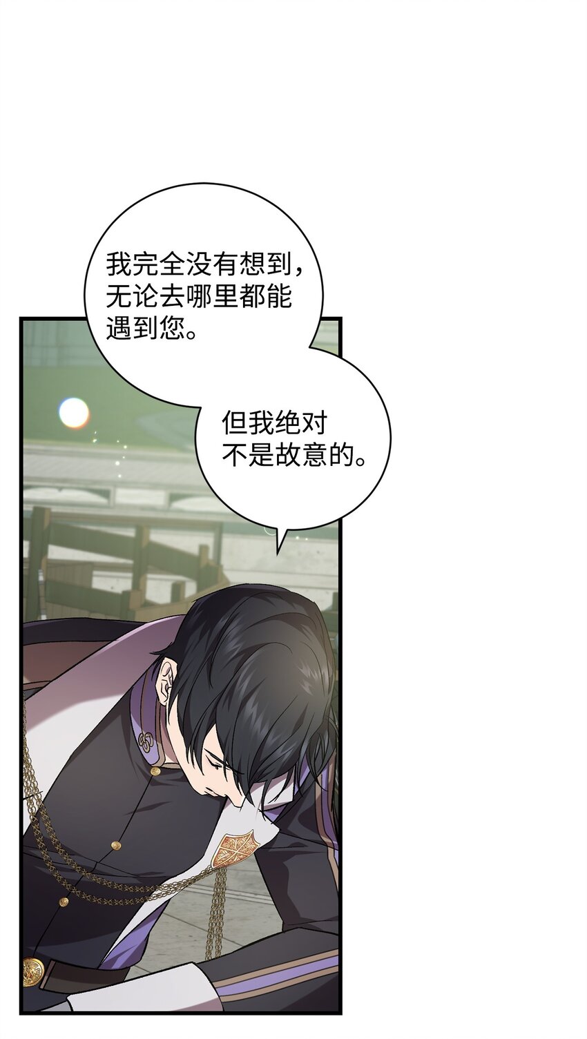 《炮灰骑士今天也想守护病弱公爵》66 关于初见 第43页