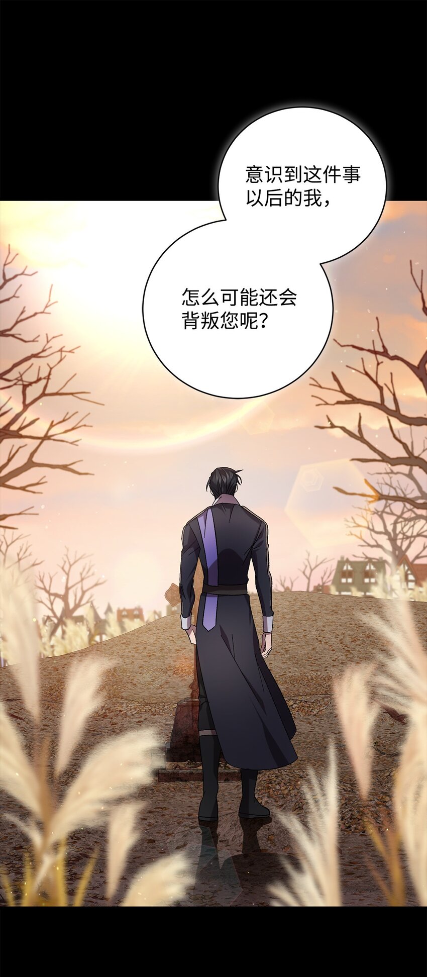 《炮灰骑士今天也想守护病弱公爵》65 一场算计 第40页