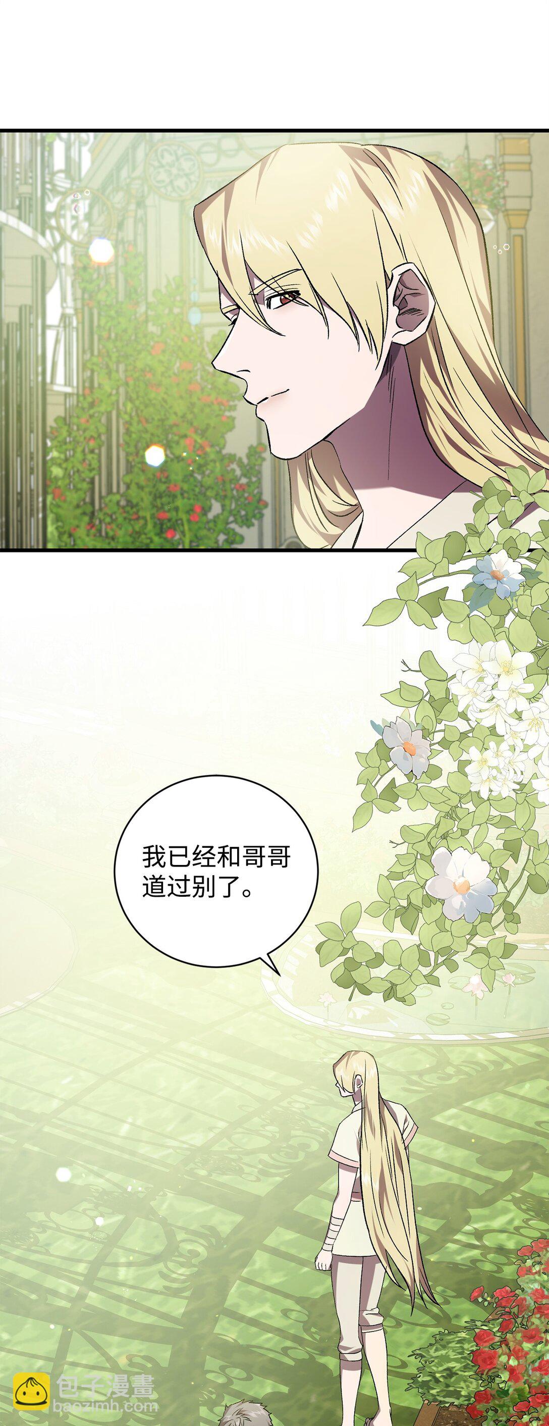 《炮灰骑士今天也想守护病弱公爵》72 消逝 第39页