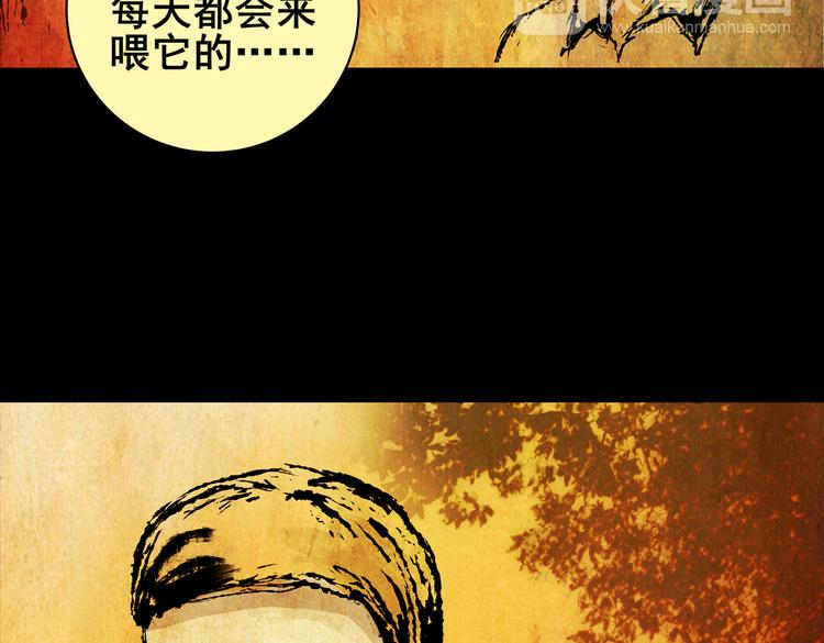 《怪奇谜踪》惊悚心意（一） 第12页