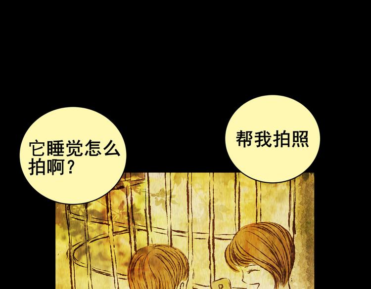 《怪奇谜踪》环形恐惧（完） 第37页