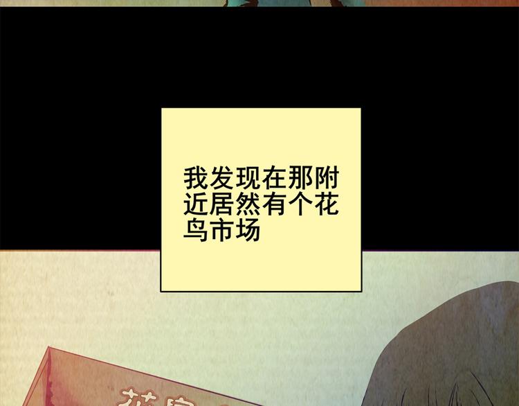 《怪奇谜踪》章鱼怪诞（完） 第34页