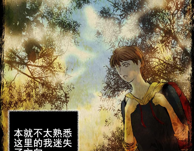 《怪奇谜踪》迷雾山谷 第42页