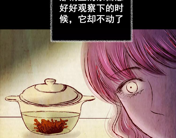 《怪奇谜踪》第52话 长生不老（二） 第3页