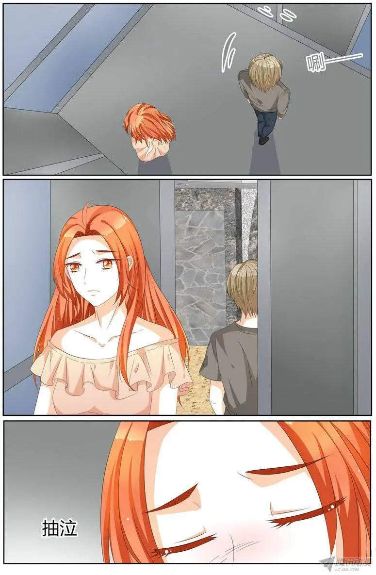 《浣熊帮帮忙》58 你这王八蛋！ 第1页