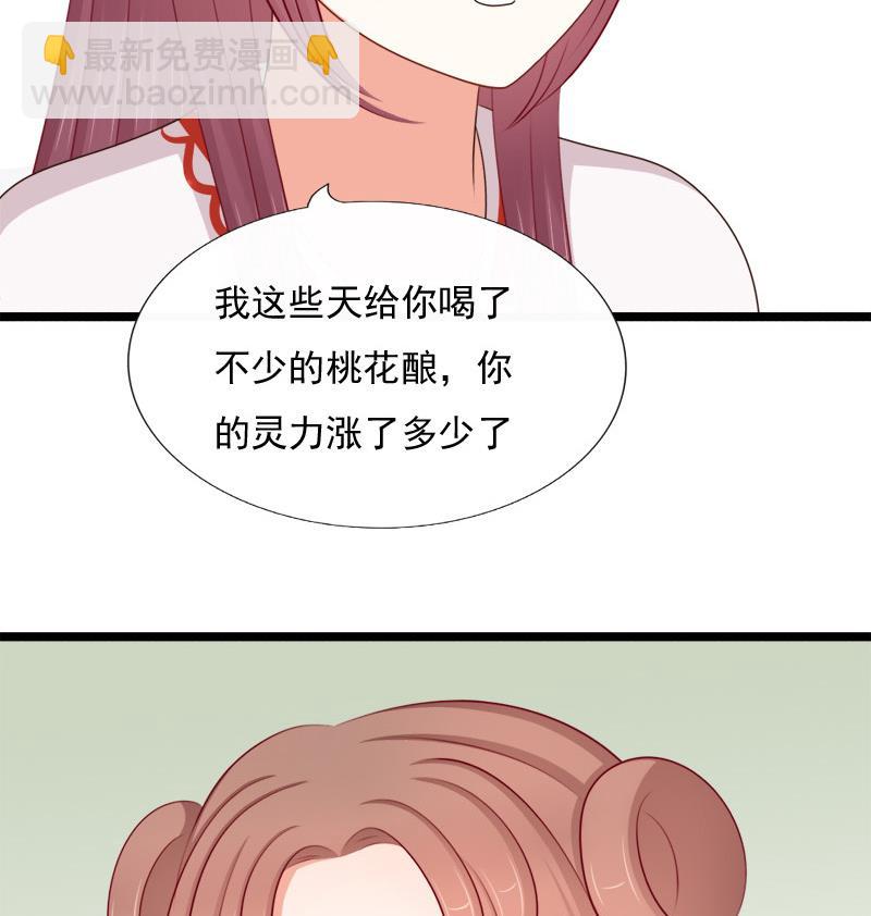 《异世王妃狂想曲》第71话 婚礼 第29页