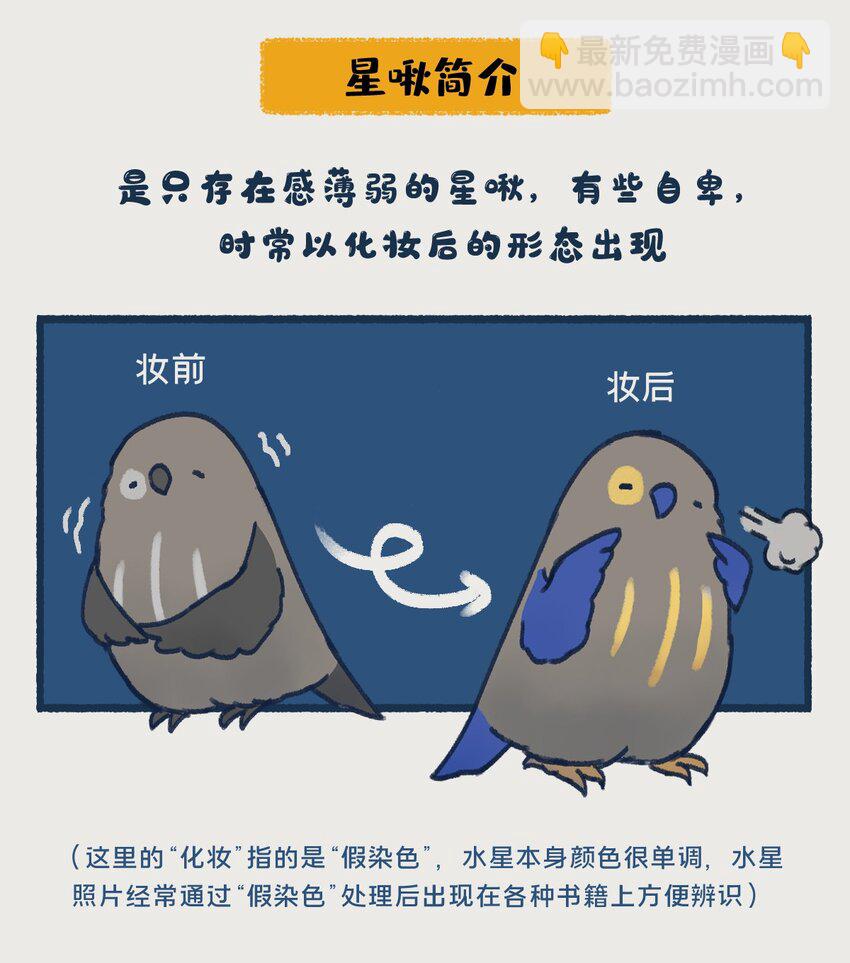 《星啾宇宙》0809 水星，一款没什么存在感的、普普通通的行星，但即使是这样的水星，也想和你们成为朋友呀—— 第3页