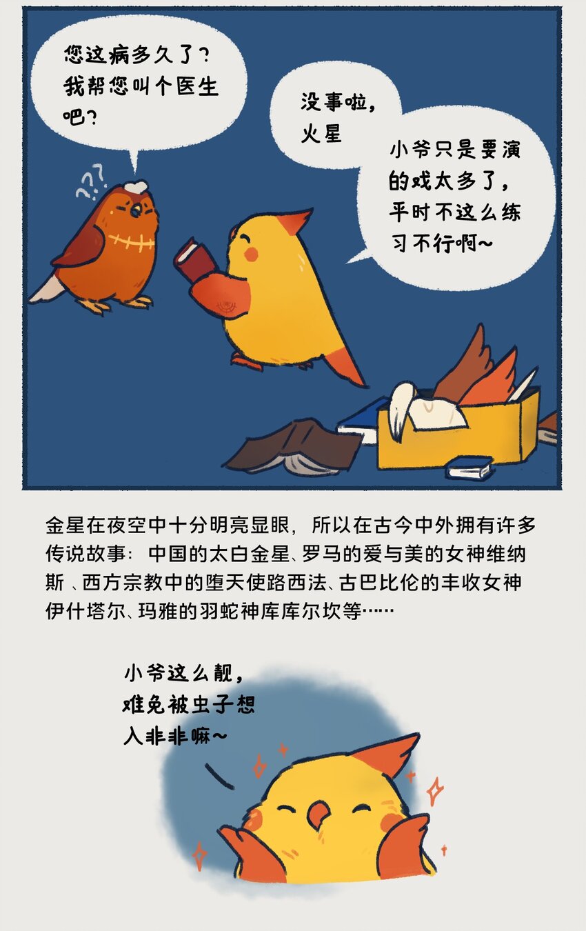 《星啾宇宙》06-07 金星，一款在夜晚最耀眼的行星，生来就是要C位出道的！ 第6页