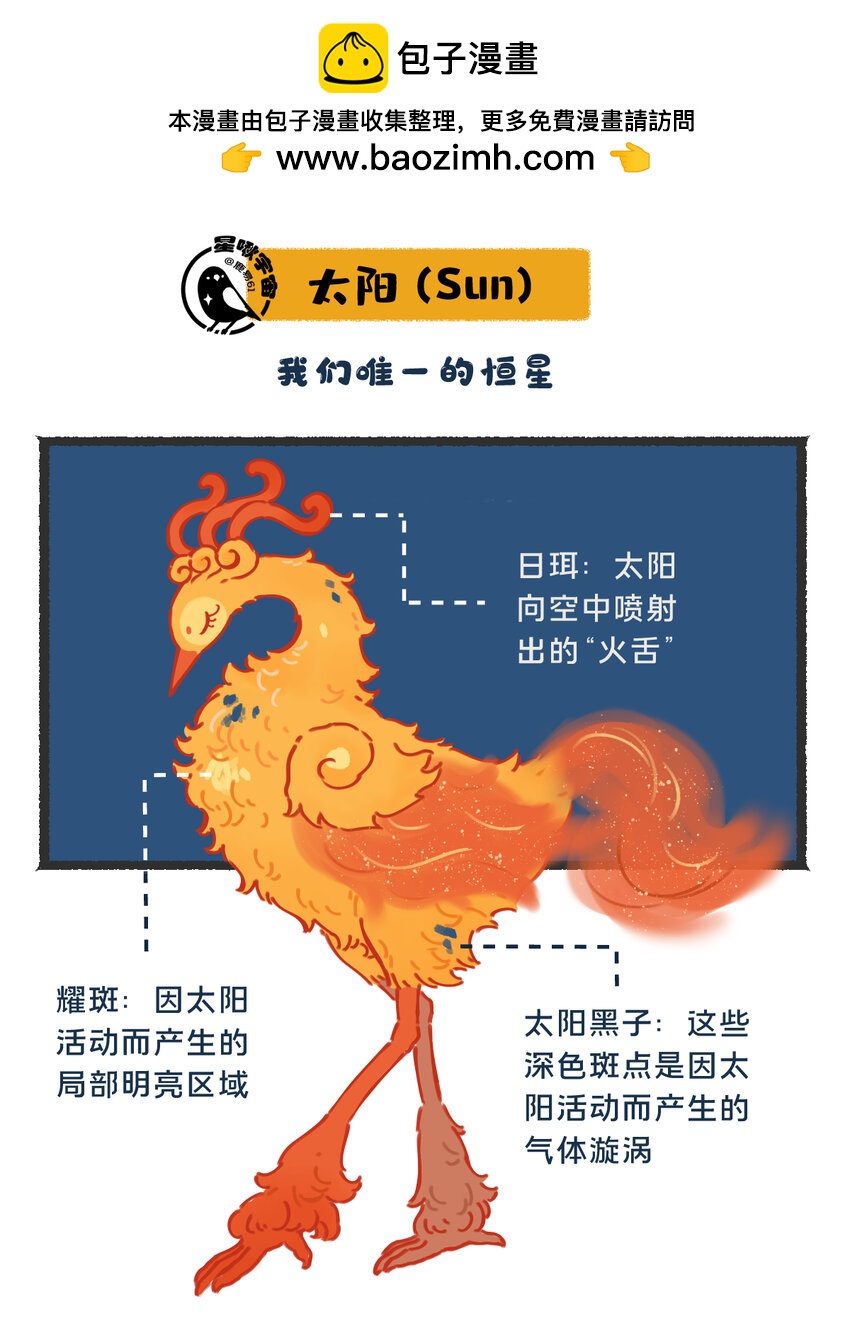 《星啾宇宙》26 太阳拟鸟的设定 第2页