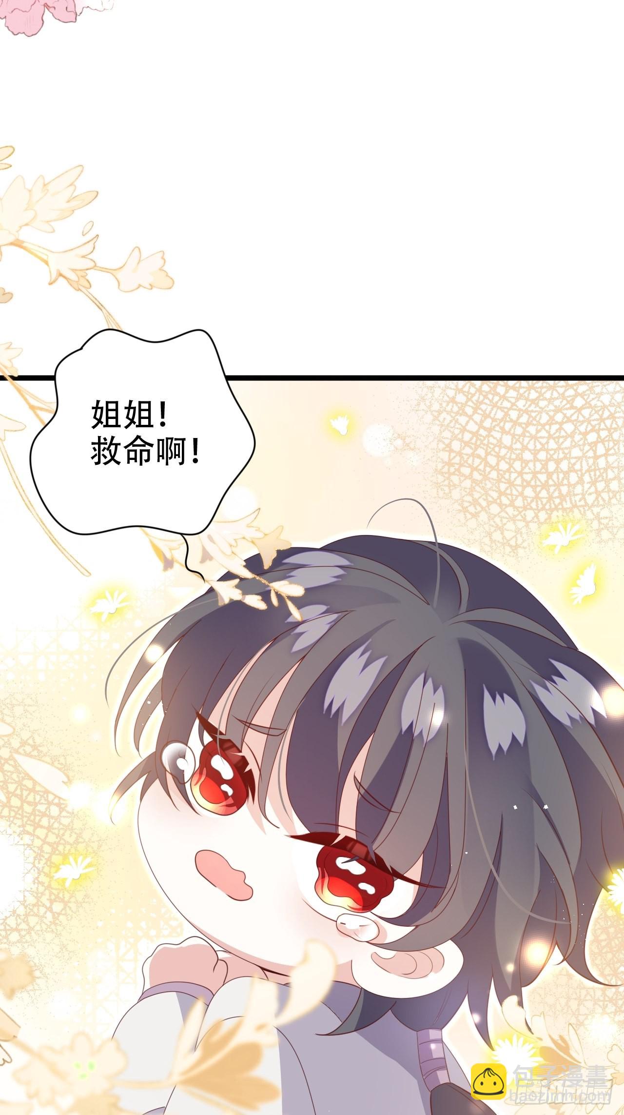 《海王奶奶三千宠》龙凤胎的大秘密 第14页