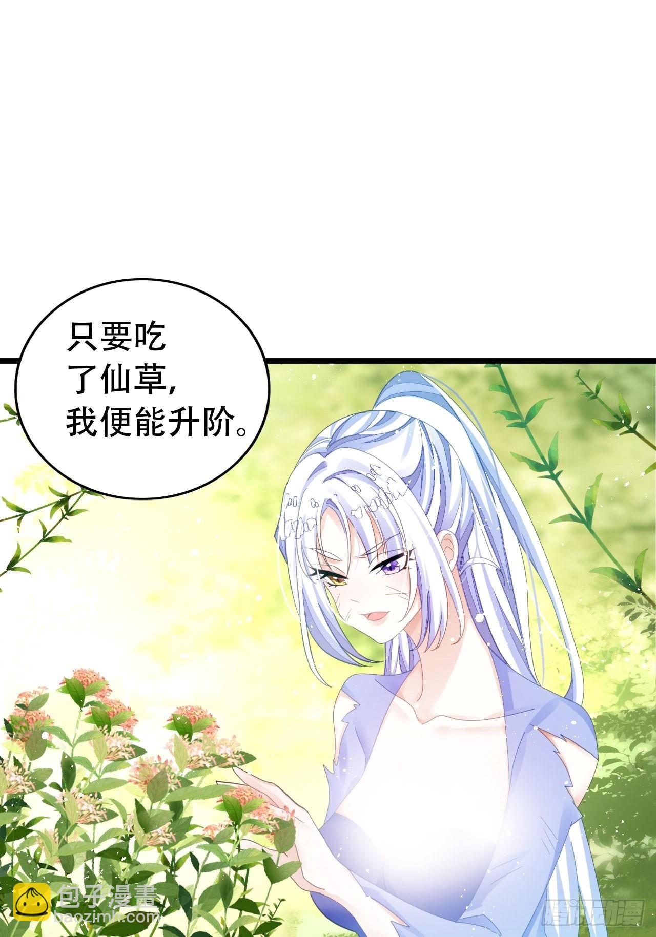 《海王奶奶三千宠》新boss出场？！略眼熟 第31页