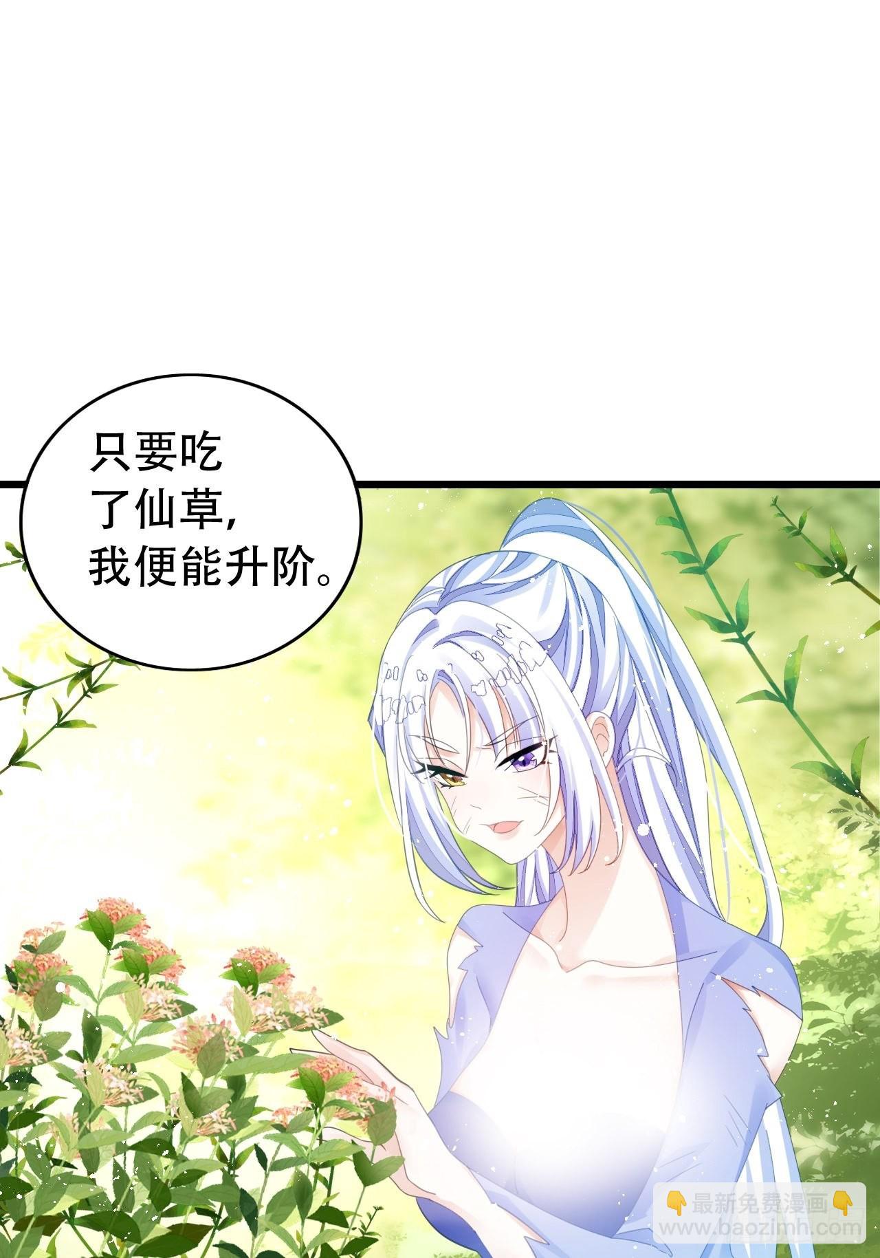 《海王奶奶三千宠》三修局4选2！禁止小盆友偷听！ 第30页