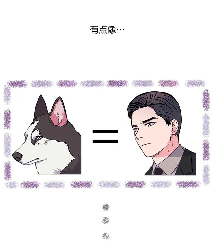 《重生成为白富美的我套路多》02 我要悔婚 第10页