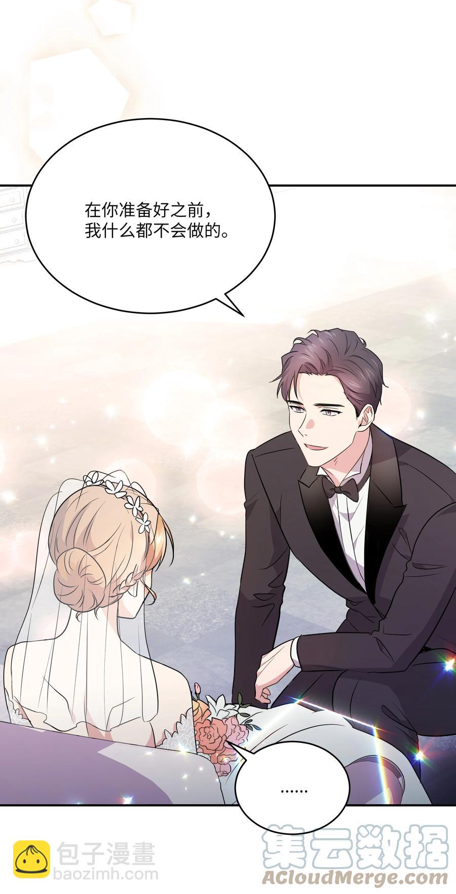《重生成为白富美的我套路多》67 终于结婚了 第46页
