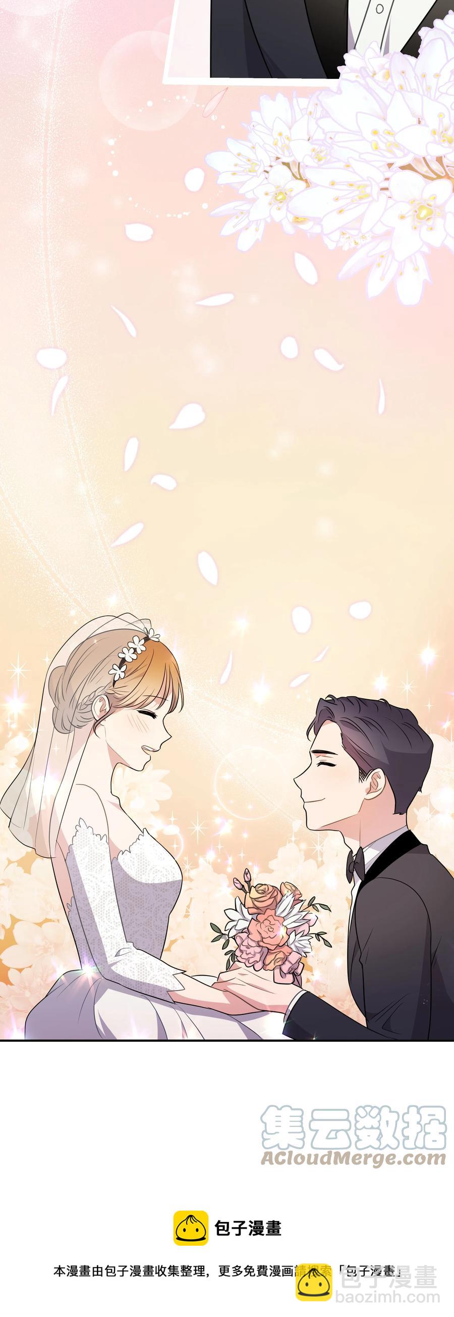 《重生成为白富美的我套路多》67 终于结婚了 第49页