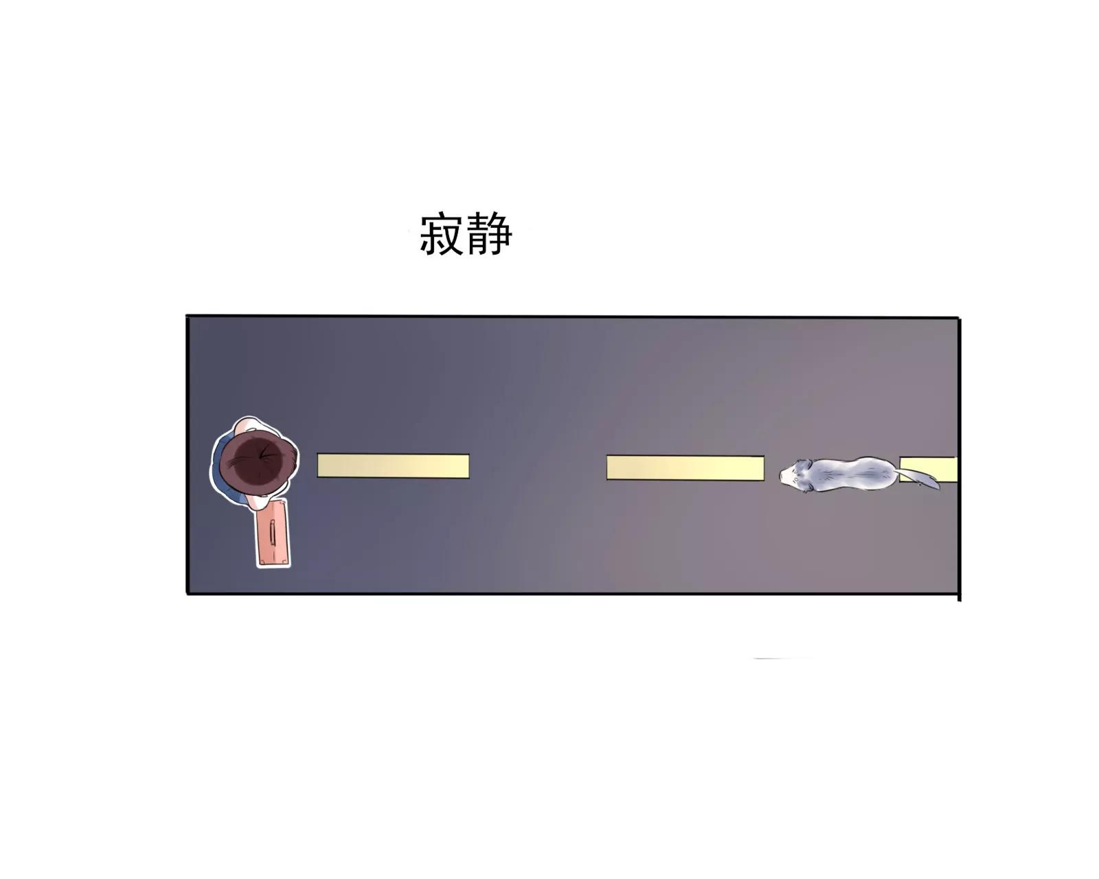 《MR贺，借个吻》大帅的主人 第11页