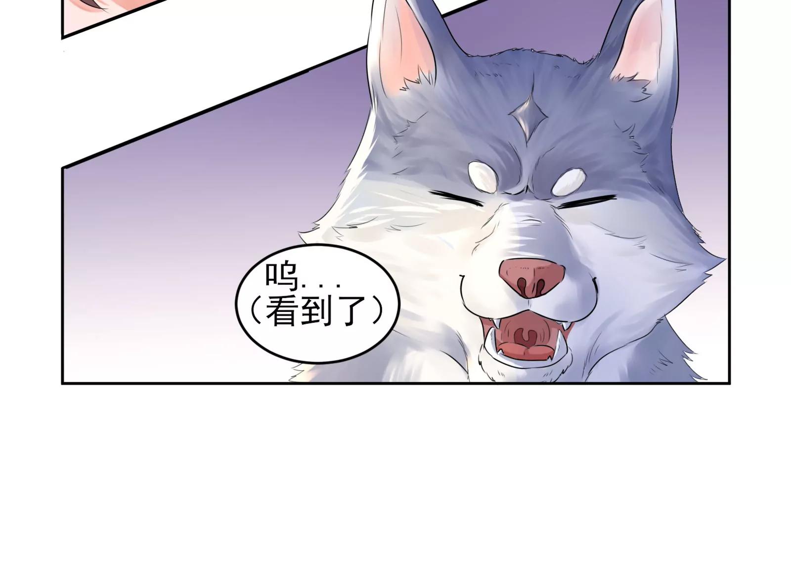 《MR贺，借个吻》大帅的主人 第20页