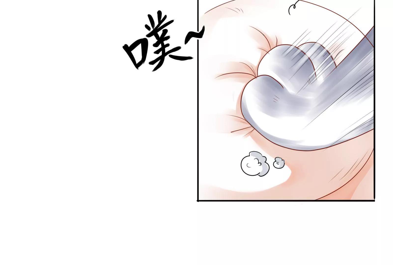 《MR贺，借个吻》大帅的主人 第33页