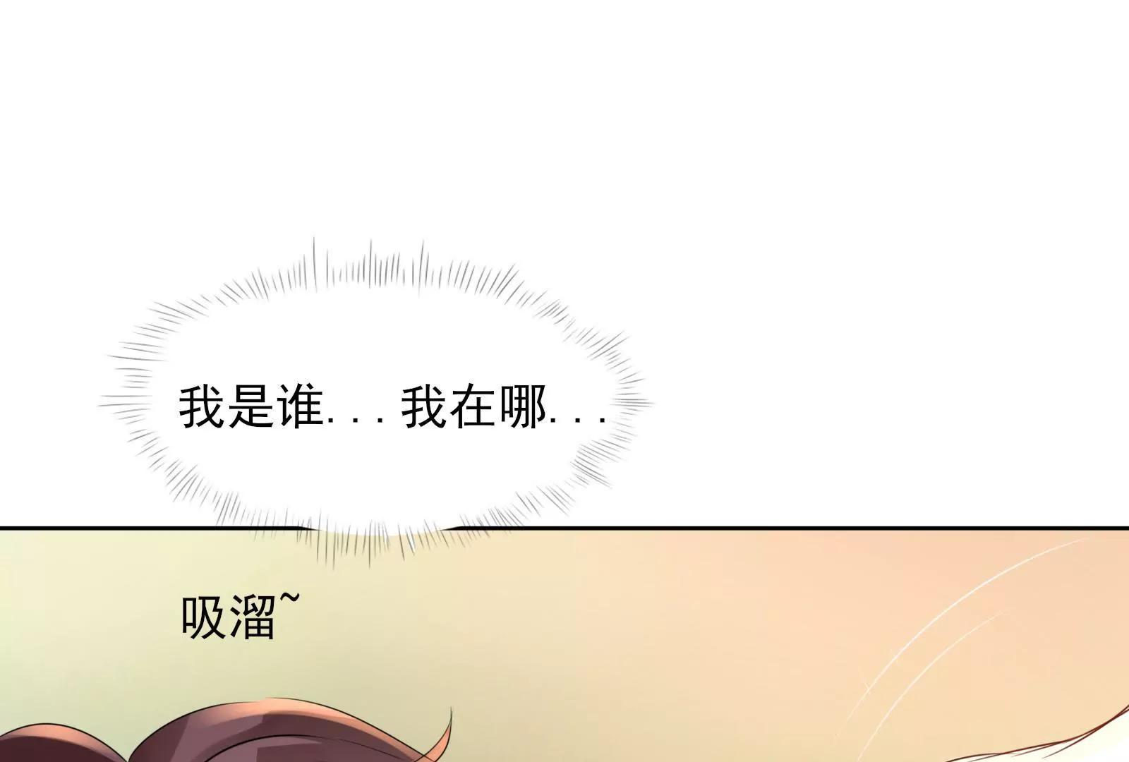 《MR贺，借个吻》大帅的主人 第41页