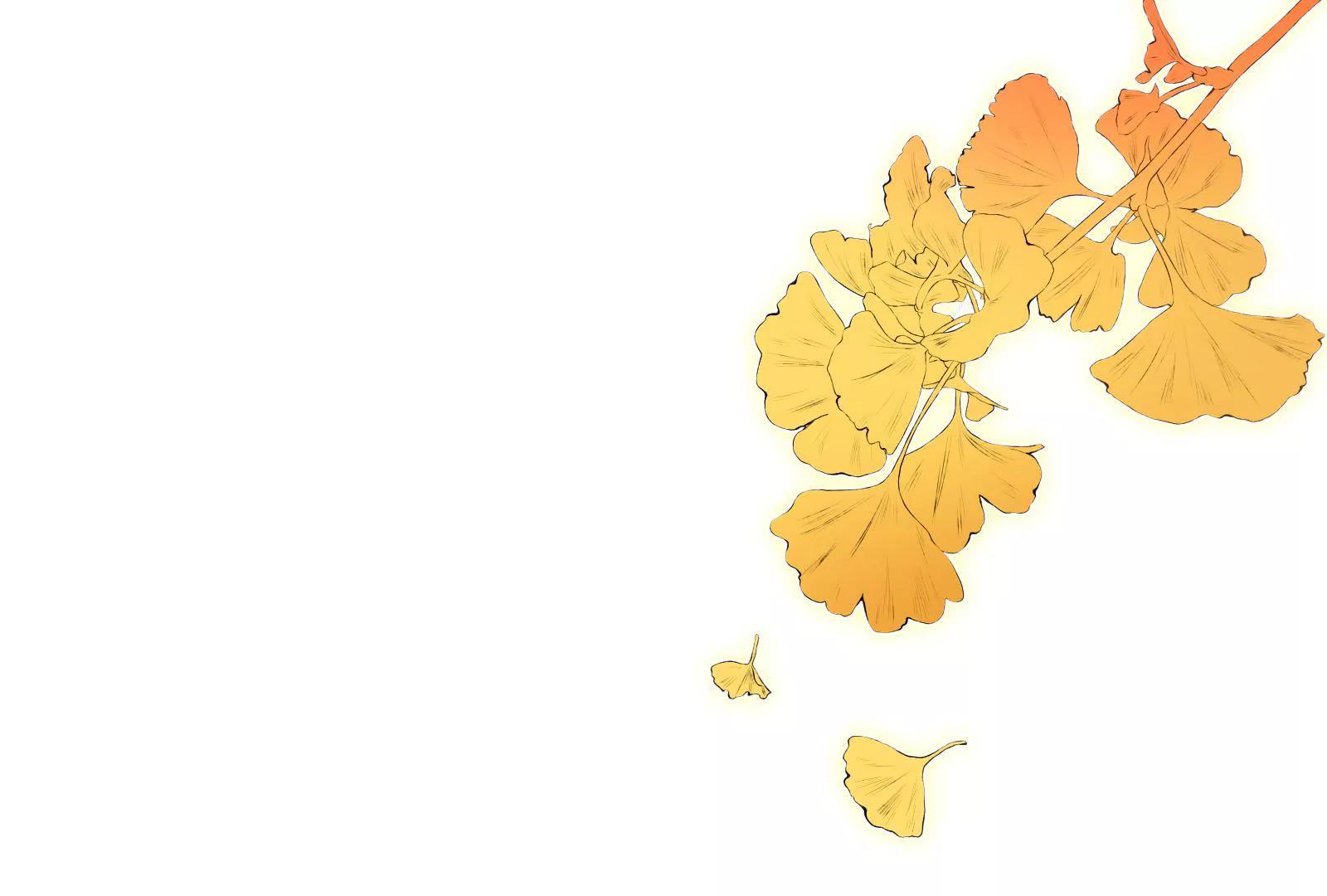 《MR贺，借个吻》大帅的主人 第45页